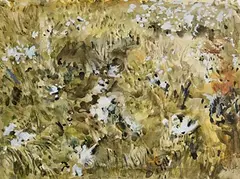 Patrick Swift, Bog Cotton, watercolour on paper