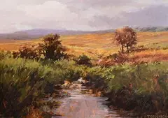 Trevor Geoghegan, Bog Stream, acrylic on board