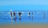 Summer Reflections by John Morris, oil on board, sold Feb 2024