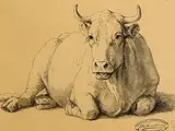 Eugène Verboeckhoven, Resting Cow, pencil on paper