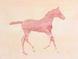 Ross Wilson, Horse, oil on paper