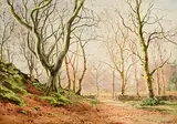 Frank Egginton, Beech Trees, Late Autumn, Ards, Donegal, watercolour on paper