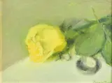 Thomas Ryan, Ella's Rose