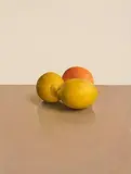 Comhghall Casey, Two Lemons and an Orange, 2007, oil on linen