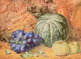 Thomas Frederick Collier, Still Life with Fruit, 1874, watercolour