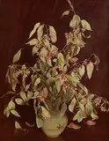 Lilian Jelly, Eucalyptus, oil on linen