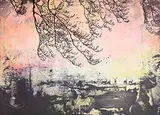 Elizabeth Magill, Lower Lough, from Parlous Land'