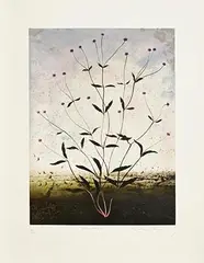 Michael Canning, Insomnia, 2012, carborundum and intaglio - number 16 from an edition of 40 - published by Stoney Road Press, Dublin