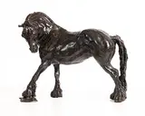 Siobhan Bulfin, Galloping Workhorse