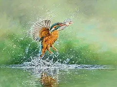 Alan M. Hunt, Kingfisher, oil on board