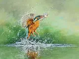 Alan M. Hunt, Kingfisher