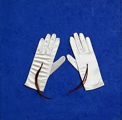Alice Maher, Meadea's Gloves, mixed media - number 7 from an edition of 10