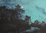 Elizabeth Magill, Oncoming - from the Parlous Land'