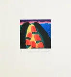William Crozier, Sherkin Island, 1994, etching and aquatint - number 74 from an edition of 75