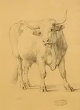 Eugène Verboeckhoven, The Bull