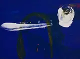 Gerald Davis, End of Days, 1988, mixed media on paper