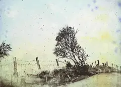 Thornbird Day - from 'Parlous Land' by Elizabeth Magill, 2006, lithograph in colours on wove paper - number 15 from an edition of 45, sold Nov 2023
