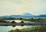 Douglas Alexander, Bogland near Leenane, watercolour on paper