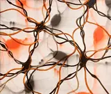 Mark Francis, Maze, 2004, oil, acrylic and resin on canvas