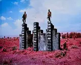 Richard Mosse, Triumph of the Will, 2011, digital c-print, mounted to dibond, in artist's frame - number 2 from an edition of 5 aside from an artist's proof
