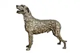 Stephen McKeown, Wolfhound, bronze - number 3 from an edition of 9