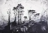 Elizabeth Magill, Parlous Land, from 'Parlous Land'