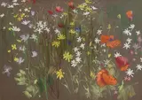 Kenneth Webb, Wild Flower Meadow, pastel on paper