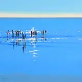 John Morris, Light Reflections, Inch Beach, oil on board