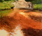 Trevor Geoghegan, The Red Pool, Wicklow