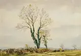 Frank Egginton, Cattle Grazing Under An Ash Tree, watercolour on paper