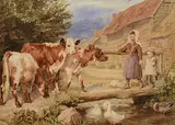 Helena J. Maguire, Animal Friends, watercolour on paper