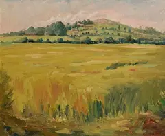 John Dinan, Towards Feltrim, oil on board