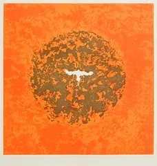 Anne Madden, Orange Dove, etching - number 73 from an edition of 75