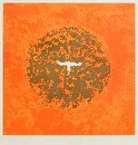 Anne Madden, Orange Dove