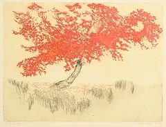 Patrick Hickey, The Red Tree, lithograph - number 25 from an edition of 60