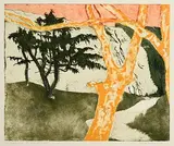 Patrick Hickey, In Glenmalure VII - Storm Watercourse, etching - number 5 from an edition of 20