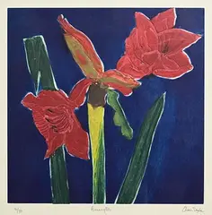 Cliona Doyle, Amaryllis, etching - number 14 from an edition of 30