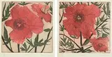 Cliona Doyle, Paeony I and II, set of 2 etchings - each numbered 6 from an edition of 50