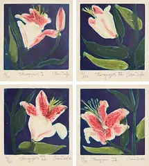 Cliona Doyle, Stargazers I, II, III and IV, 1993, set of 4 carborundum prints - each numbered 4 from an edition of 30