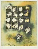 20th Century Irish School, Flying Bog Cotton, etching - number 25 from an edition of 50