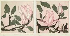 Cliona Doyle, Magnolia II and III, set of 2 etchings - numbered 7 from an edition of 50