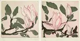 Cliona Doyle, Magnolia II and III, set of 2 etchings - numbered 7 from an edition of 50
