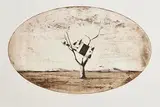 John Kelly, Cow Up a Tree, 2004, etching - artist's proof - printed by Cork Printmakers