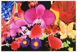 Marc Quinn, Radioactive Nurseries of Enceladus (In the Night Garden), 2012, pigment print on Somerset photo paper - numbered 6 from an edition of 20