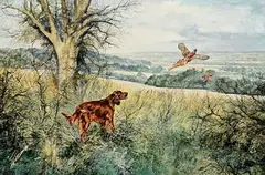 Irish Setter and Pheasant by Henry Wilkinson, 1980, oil on canvas, sold Jul 2023