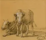 Eugène Verboeckhoven, Oxen