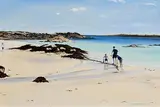 Sian Maguire, High Summer, Gorteen, Roundstone, 2023, oil on canvas