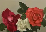 Patrick Hennessy, Marrakesh Roses, oil on board