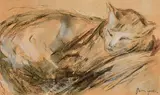 Gwen John Welsh, Cat, gouache on paper