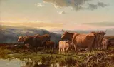 Alfred Grey, Highland Cattle and Calves in a Landscape